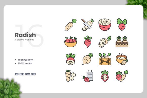 Radish Colored Icons for Graphic Design Projects
